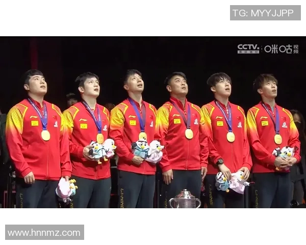 乒乓球的梦想与奋斗：北京乒乓球队成长历程的真实记录与感悟